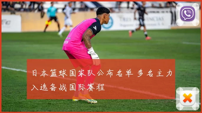 日本篮球国家队公布名单 多名主力入选备战国际赛程