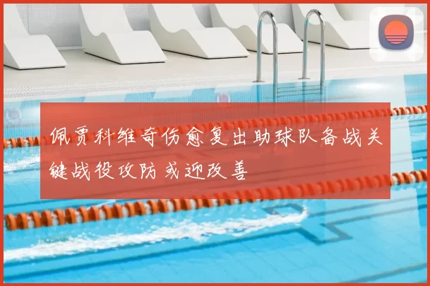 佩贾科维奇伤愈复出助球队备战关键战役攻防或迎改善