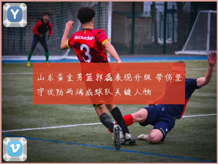 山东黄金男篮郭磊表现升级 带伤坚守攻防两端成球队关键人物