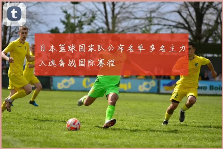 日本篮球国家队公布名单 多名主力入选备战国际赛程