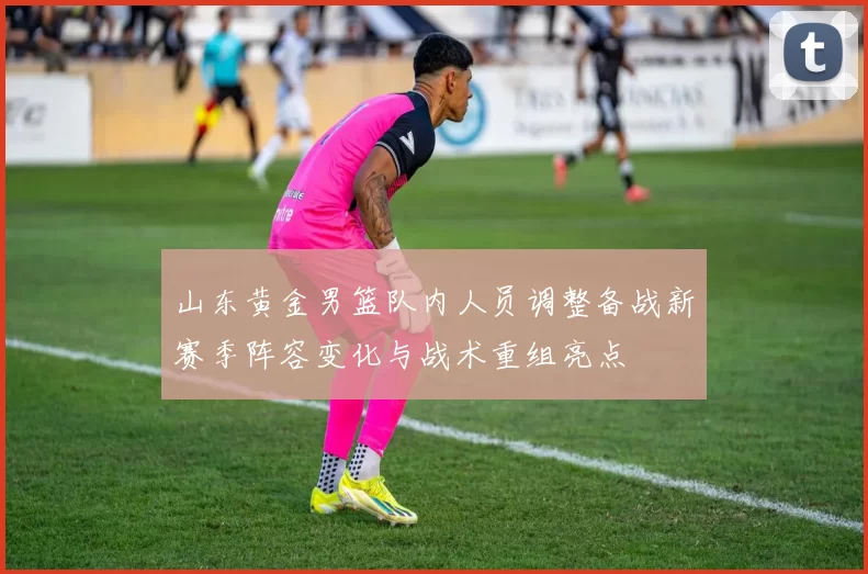 山东黄金男篮队内人员调整备战新赛季阵容变化与战术重组亮点