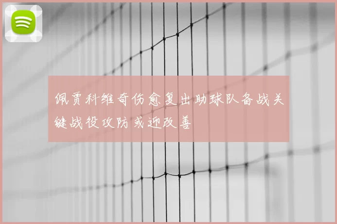 佩贾科维奇伤愈复出助球队备战关键战役攻防或迎改善