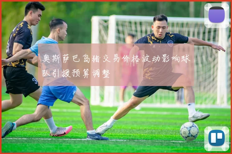 奥斯萨巴岛猪交易价格波动影响球队引援预算调整