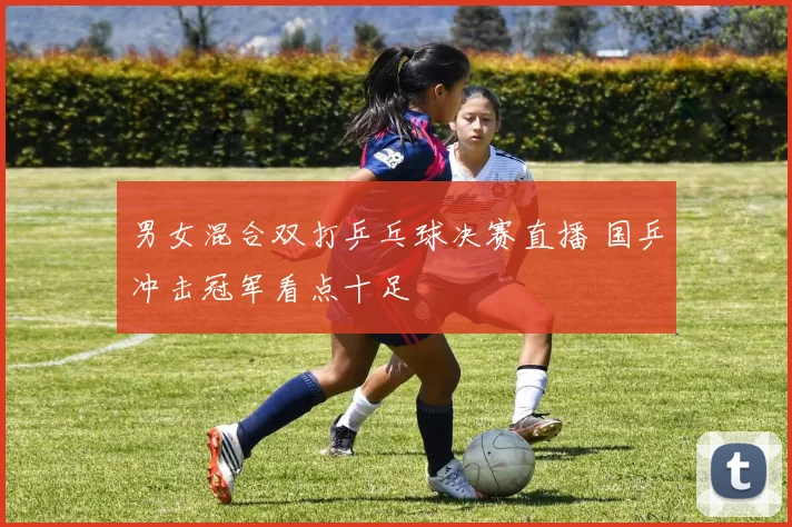 男女混合双打乒乓球决赛直播 国乒冲击冠军看点十足